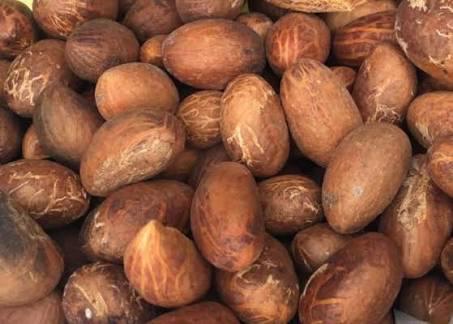 Product image - Bitter Kola Nut Garcinia Kola Cola 1 Lb